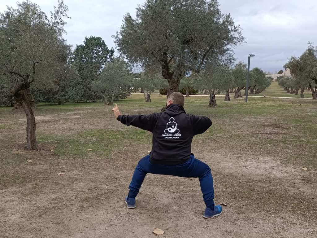 Sifu Manuel Tirado practicando en el parque