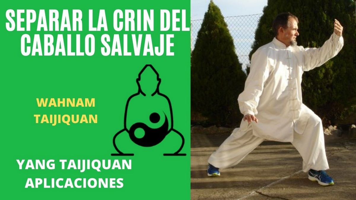 Separar la Crin del Caballo Salvaje